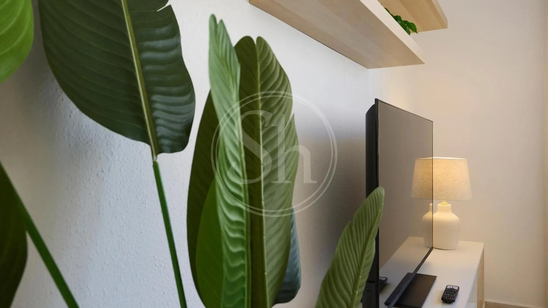 Luminescent Valencia Apartment Barcelona 0*,